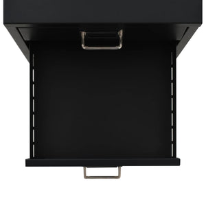 Filing Cabinet with 5 Drawers Metal 11"x13.8"x13.8" Black